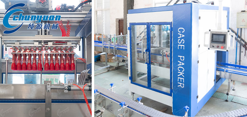 自动抓取式装箱机-2