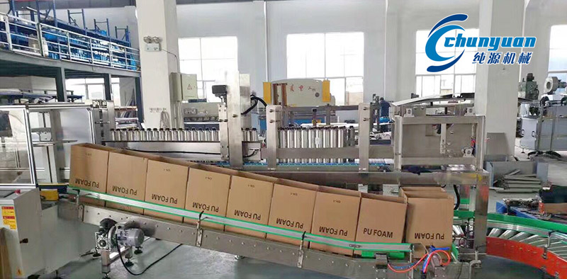 装箱机，挑选装箱机，纯源装箱机，纯源机械